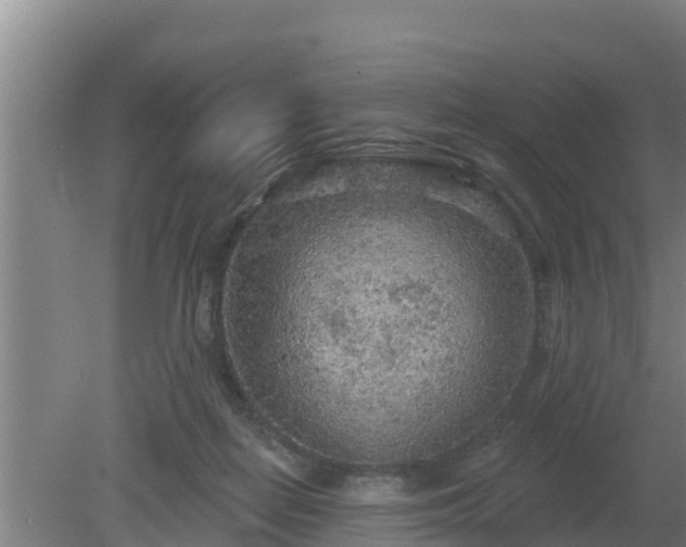 X0000080180266200612151956