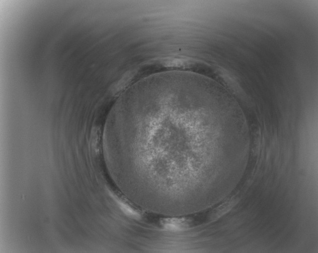 X0000080180273200612151956