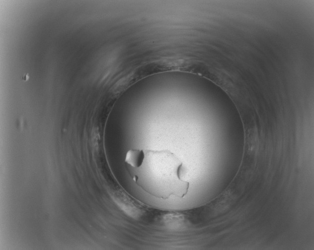 X0000080180279200612151956