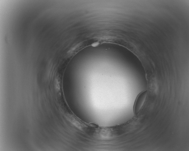 X0000080180282200612151956