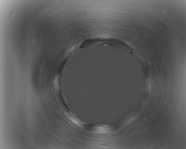 X0000080180286200612151956