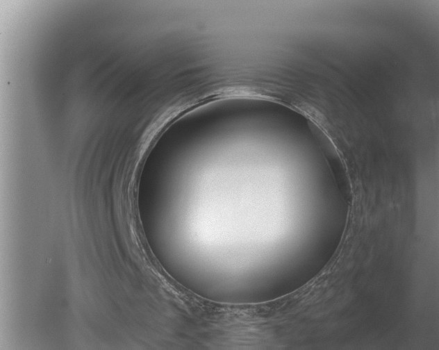 X0000080180289200612151955