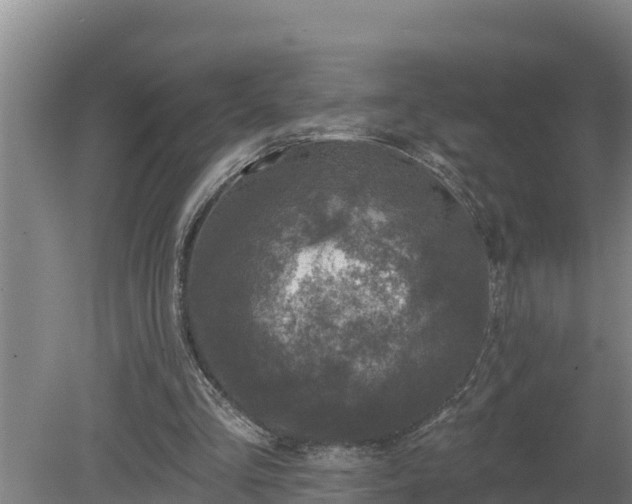 X0000080180293200612151955