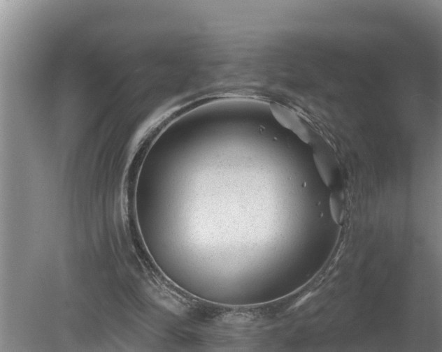 X0000080180294200612151955