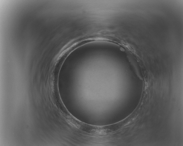 X0000080180295200612151955