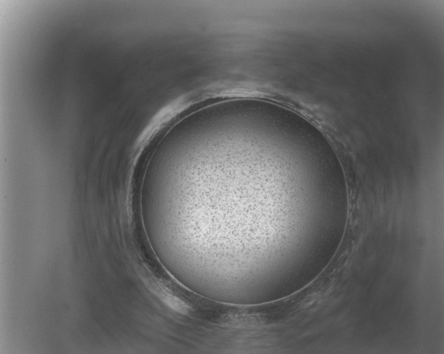 X0000080180296200612151955