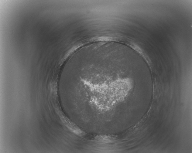 X0000080180297200612151955