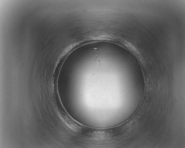 X0000080180298200612151955