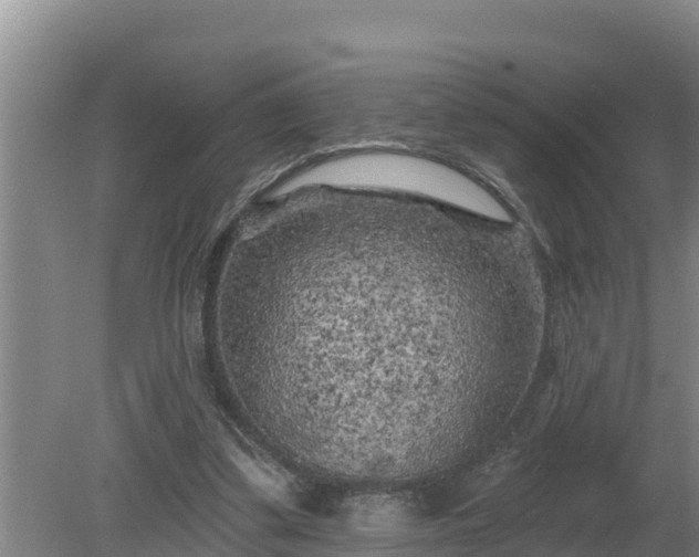 X0000080180299200612151955