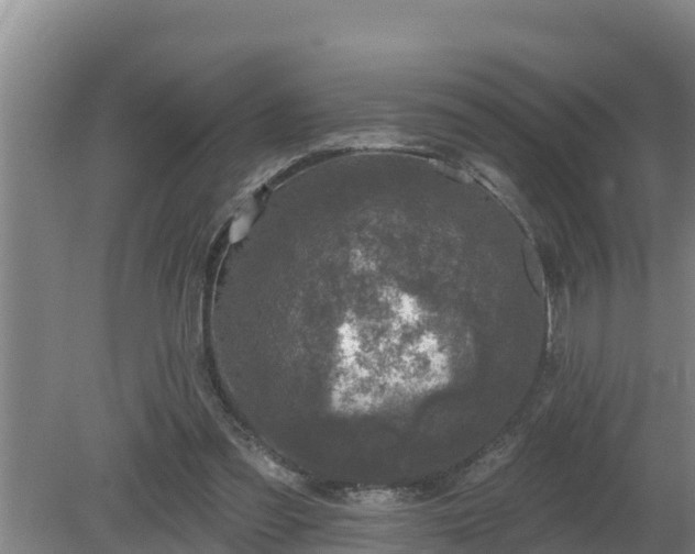 X0000080180301200612151955