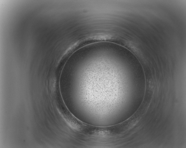 X0000080180304200612151955