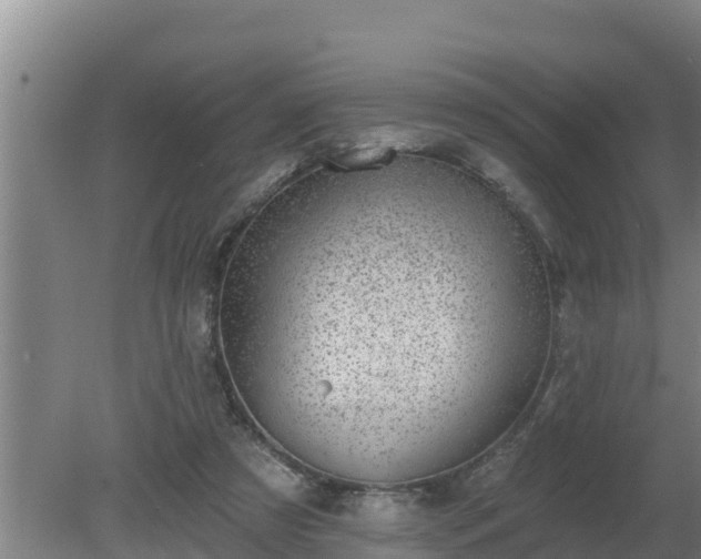 X0000080180305200612151955