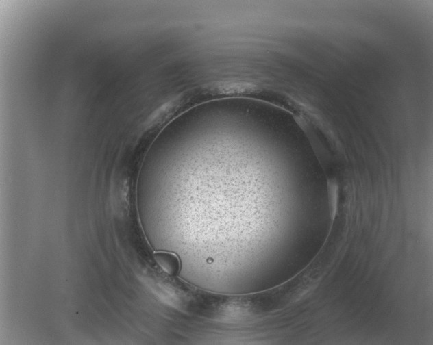 X0000080180308200612151955