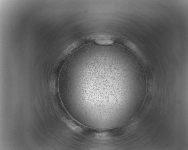 X0000080180309200612151955