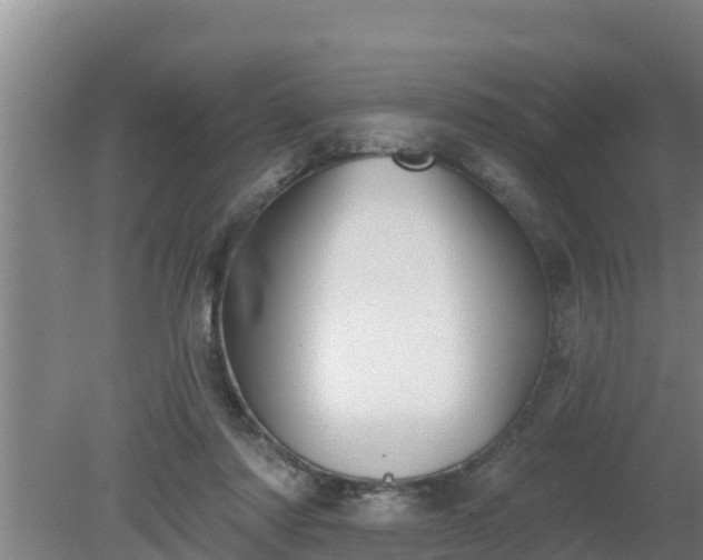 X0000080180310200612151955