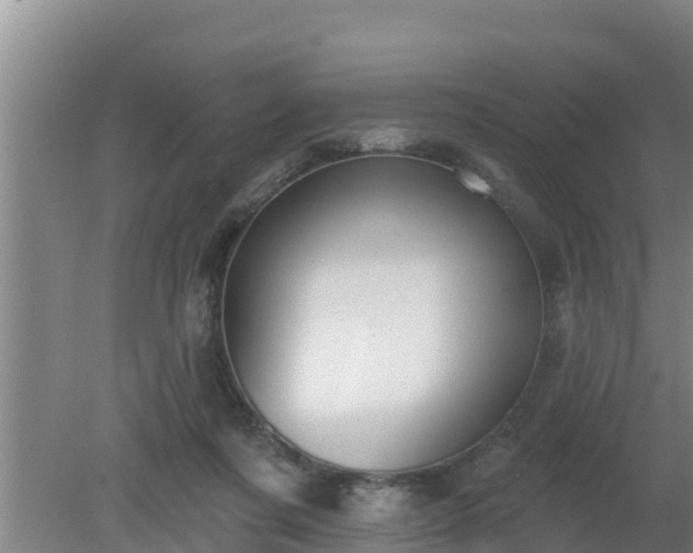 X0000080180311200612151955