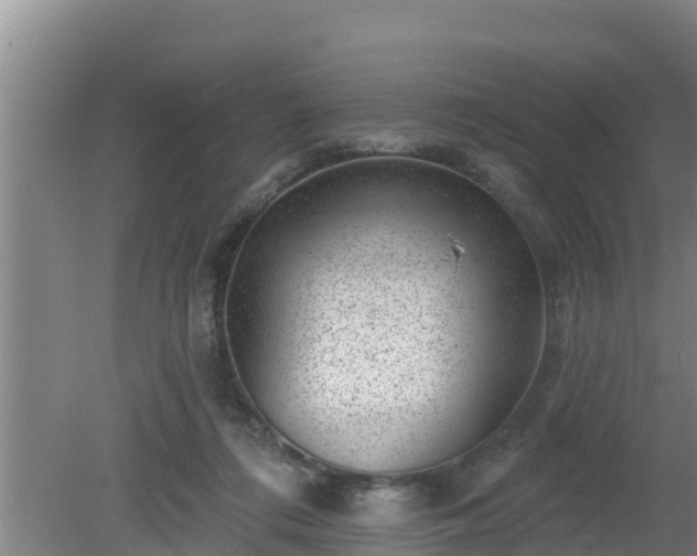 X0000080180312200612151955