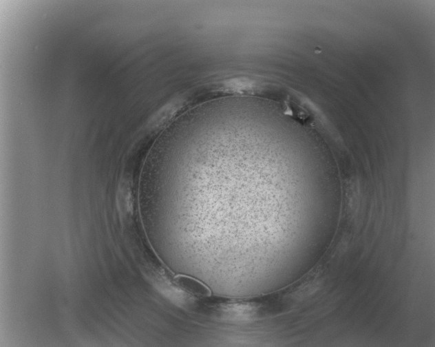 X0000080180313200612151955