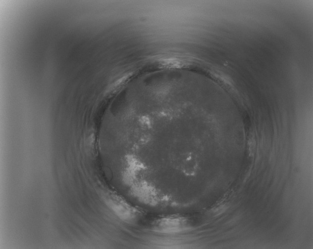 X0000080180314200612151955