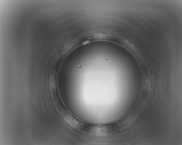 X0000080180317200612151955