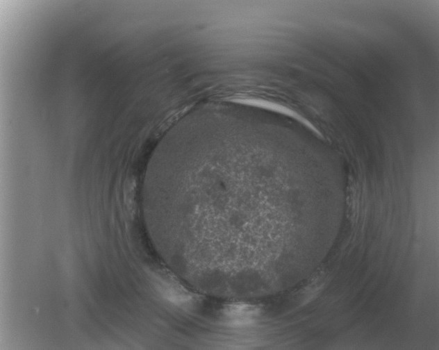 X0000080180319200612151955