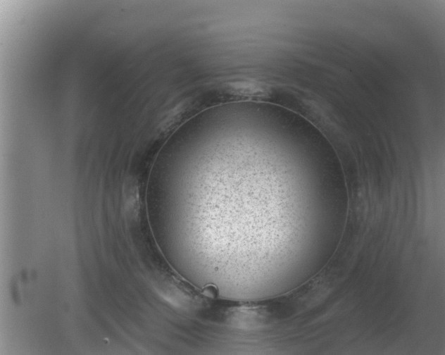 X0000080180320200612151955