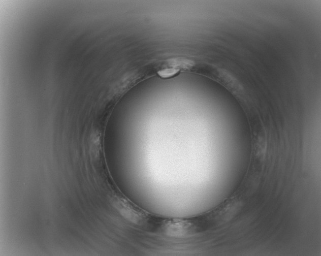 X0000080180321200612151955