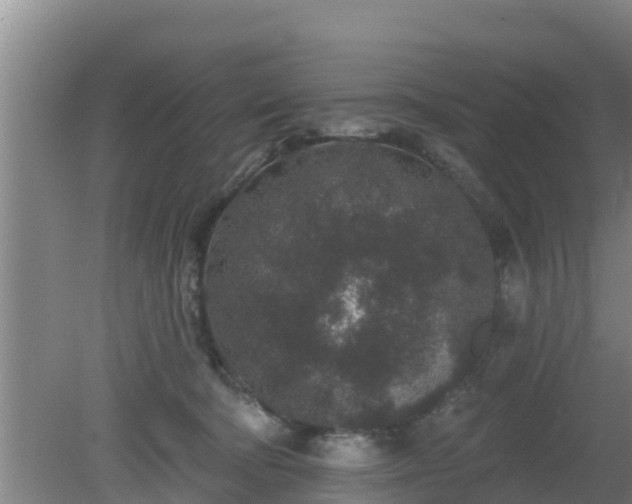 X0000080180322200612151955