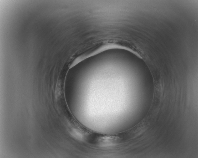 X0000080180323200612151955