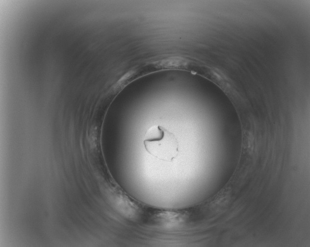 X0000080180326200612151955