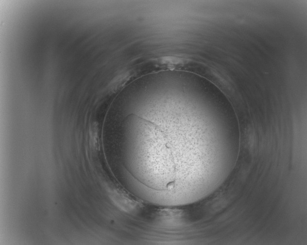 X0000080180328200612151955