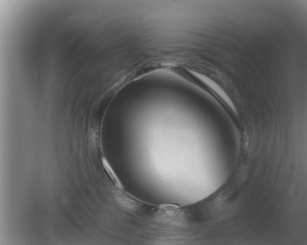 X0000080180329200612151955