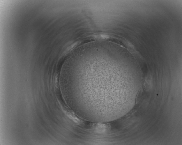 X0000080180330200612151955