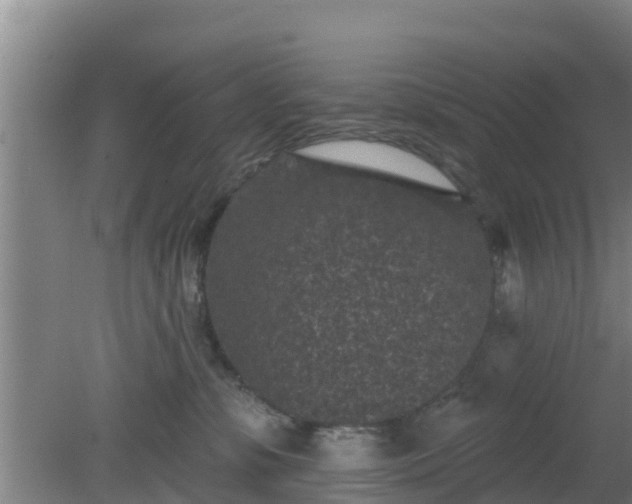 X0000080180331200612151955