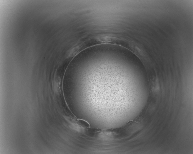 X0000080180332200612151955