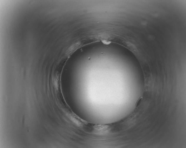 X0000080180334200612151955