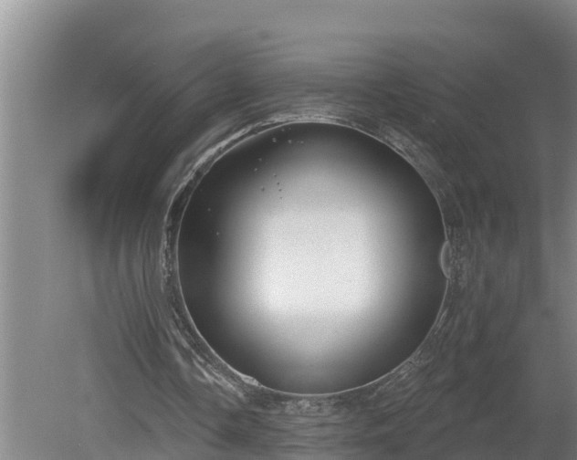 X0000080180338200612151954