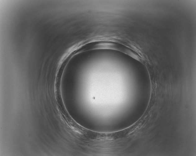 X0000080180340200612151954