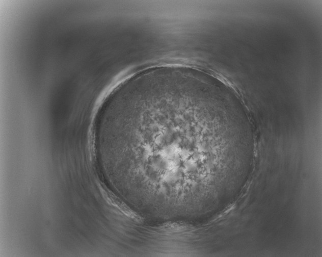 X0000080180343200612151954