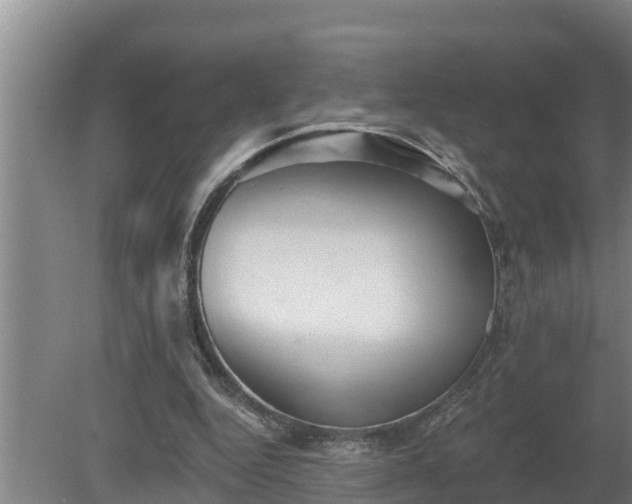 X0000080180344200612151954