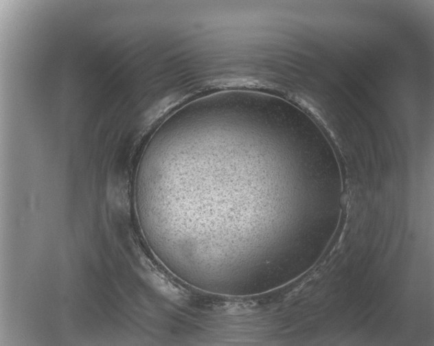 X0000080180345200612151954