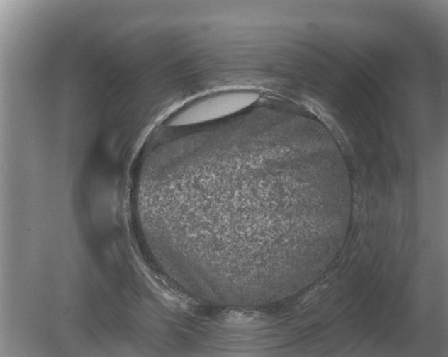 X0000080180346200612151954