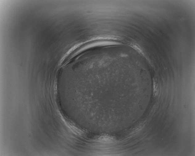 X0000080180348200612151954