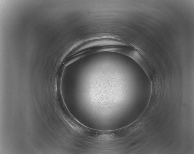 X0000080180350200612151954