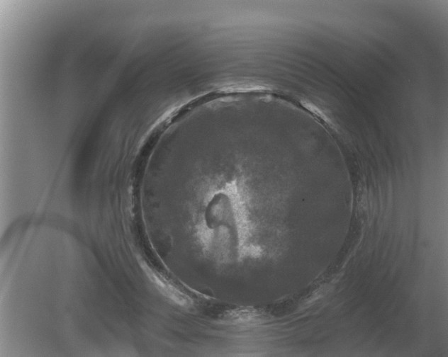 X0000080180351200612151954