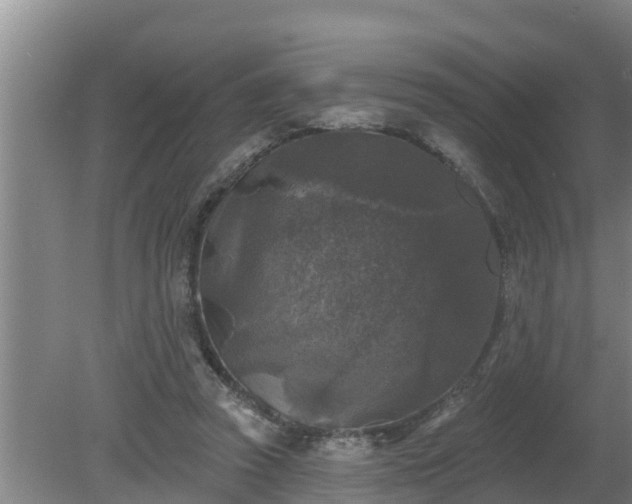 X0000080180353200612151954