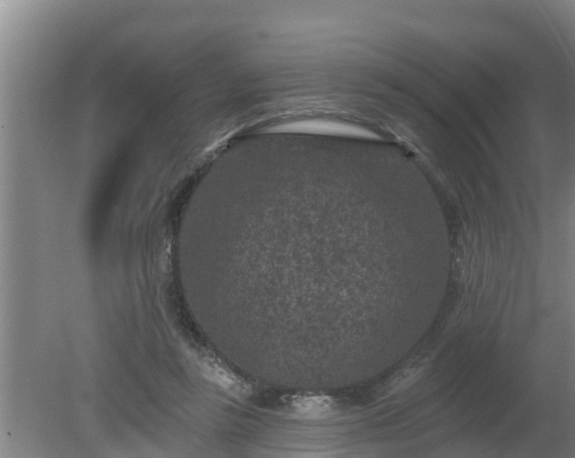 X0000080180355200612151954