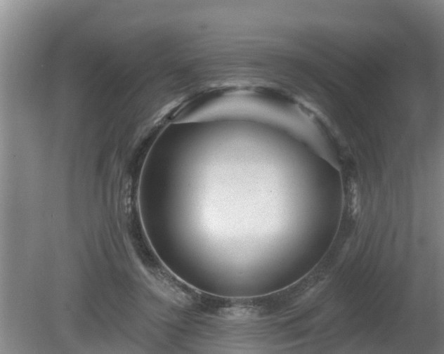 X0000080180356200612151954