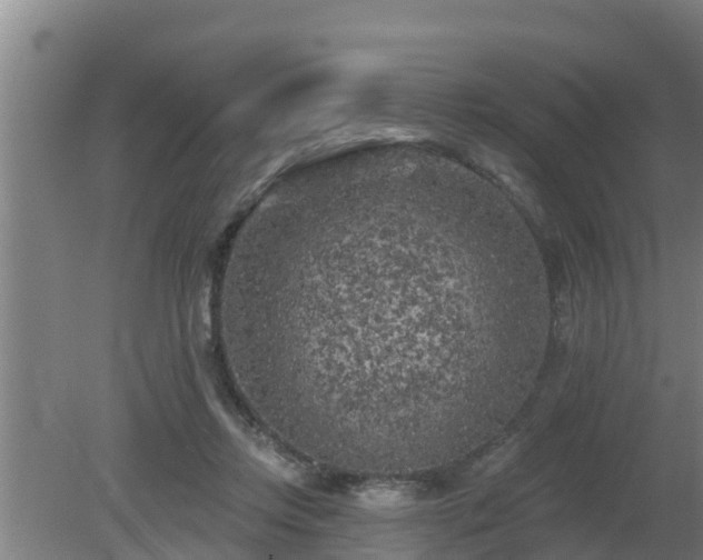 X0000080180358200612151954