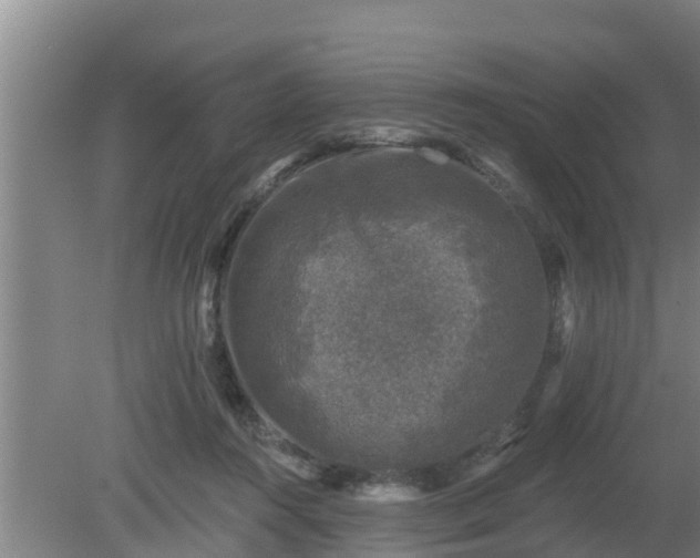 X0000080180360200612151954